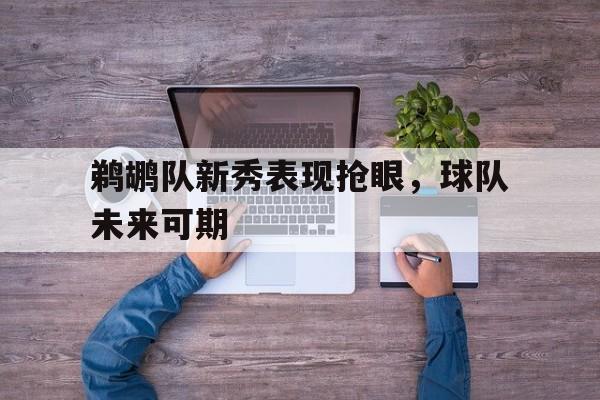 APP官方下载-鹈鹕队新秀表现抢眼，球队未来可期的简单介绍